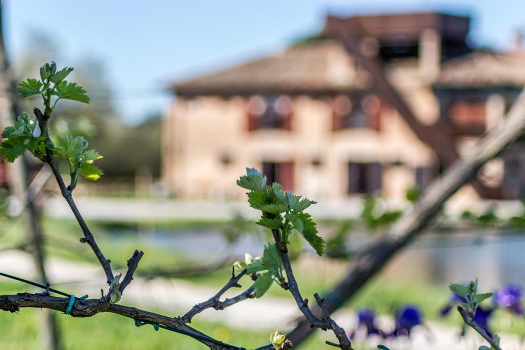 Valgrande Bibione Casone Villa Екстериор снимка